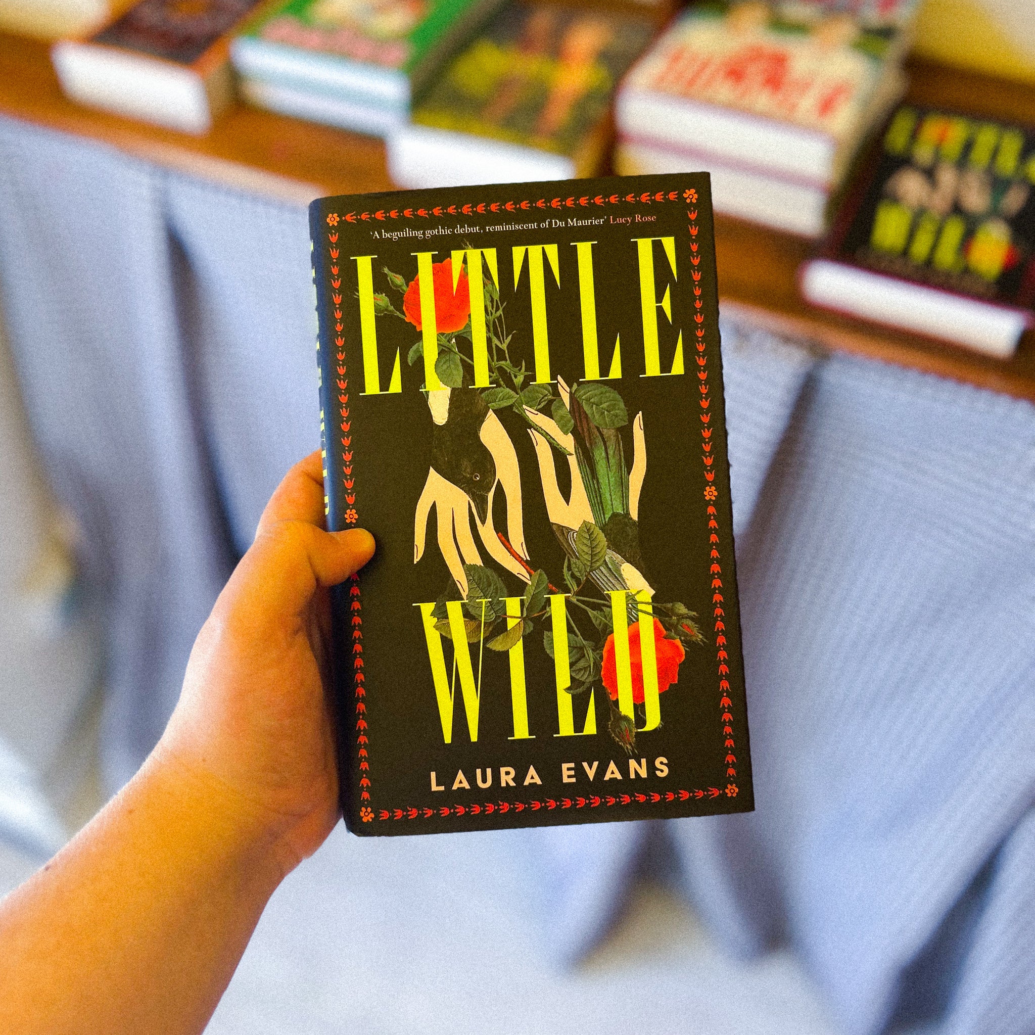 "Little Wild" by Laura Evans