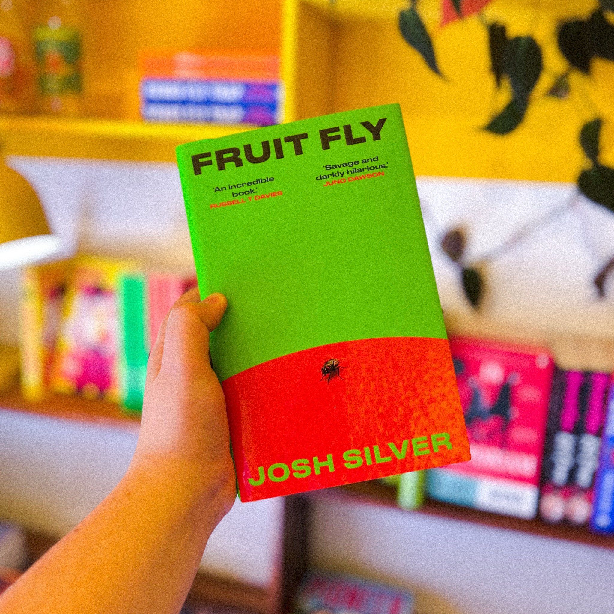 "Fruit Fly" by Josh Silver